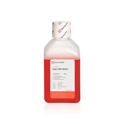 Eagle's MEM（EMEM）