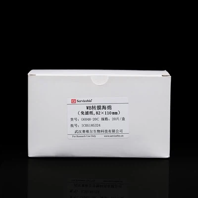 WB трансферна гъба (без филтърна хартия, 82 × 110 mm）